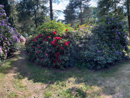 23-06-03 16-48-51 5800